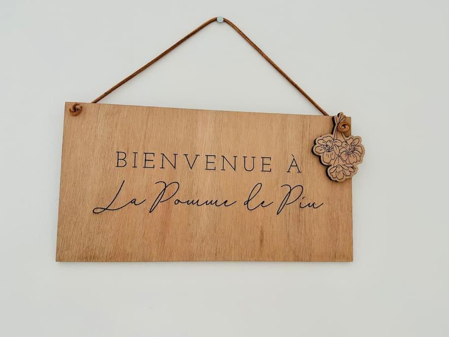 La Pomme De Pin Appartement Scionzier