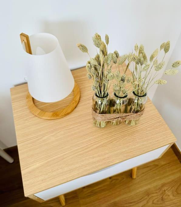La Pomme De Pin Appartement